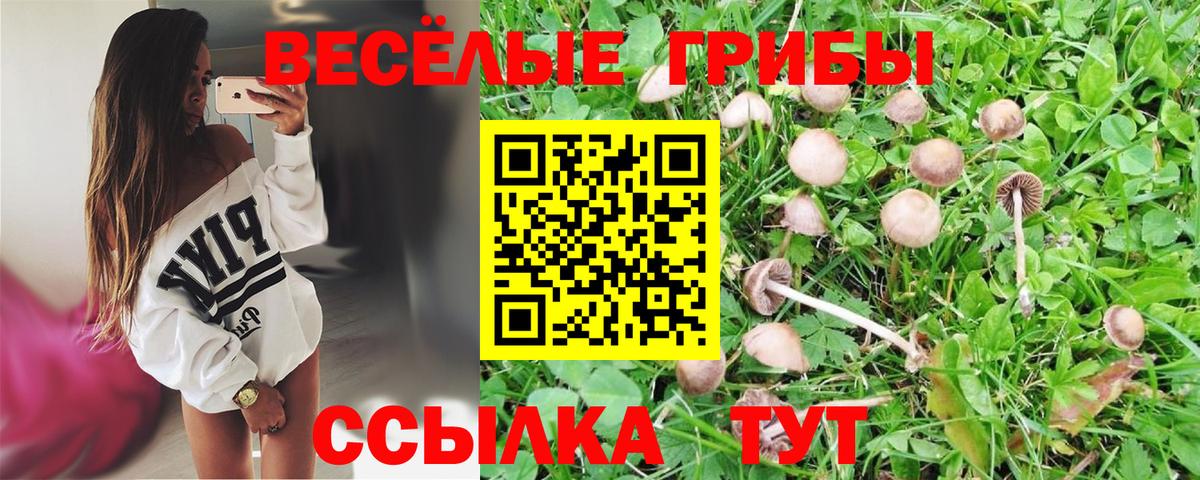 Галлюциногенные грибы Magic Shrooms Домодедово